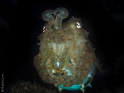 Dancing queen, Philippines