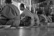 Monks during their meal, Cambodia