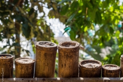 Bamboo sticks, Philippines