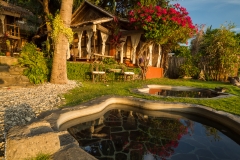 The Lilium Philippines