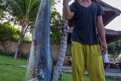Catch of the day, Bali