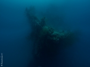 Gost in the deep, Truk Lagoon, Micronesia