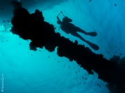 Wreck's cannon and diver, Truk, Micronesia