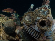 Never again, Truk Lagoon, Micronesia