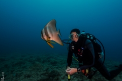 Hypnotised, Truk, Micronesia