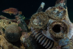 Never again, Truk Lagoon, Micronesia