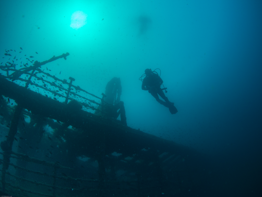 image-7-1024x768.png